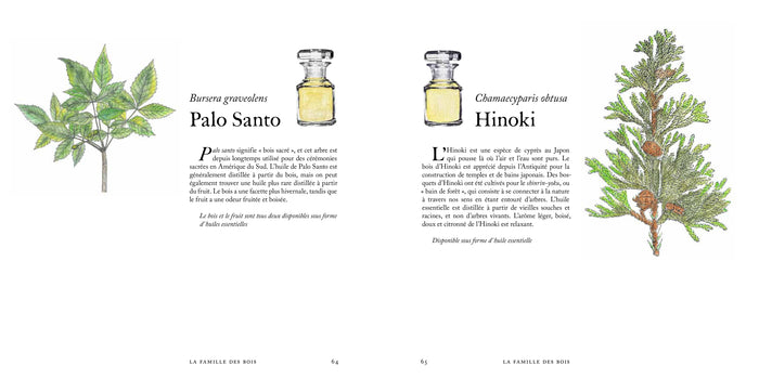 Voyage dans le monde du parfum - Le musée des senteurs