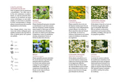 Fabriquer savons, huiles, dentifrice... à base de plantes locales