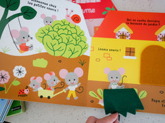 Cache-cache la maison des petites souris