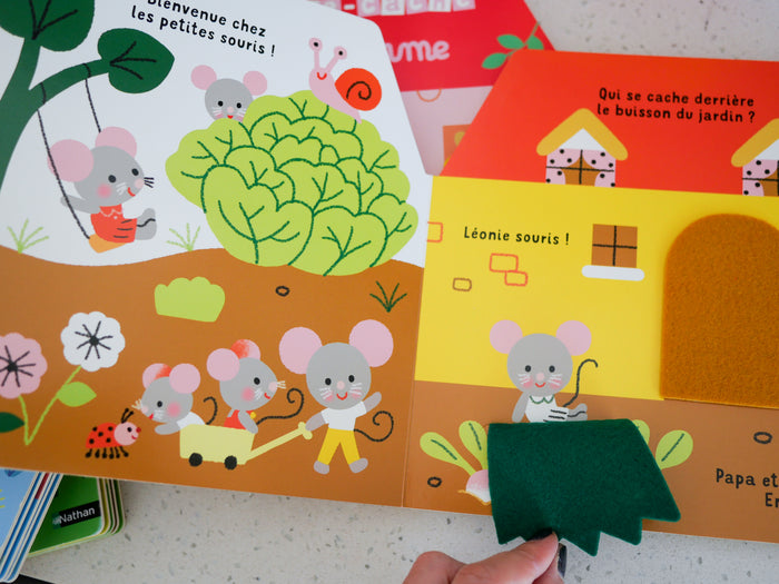 Cache-cache la maison des petites souris