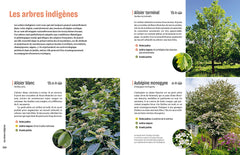 Créer un beau jardin-refuge pour les oiseaux