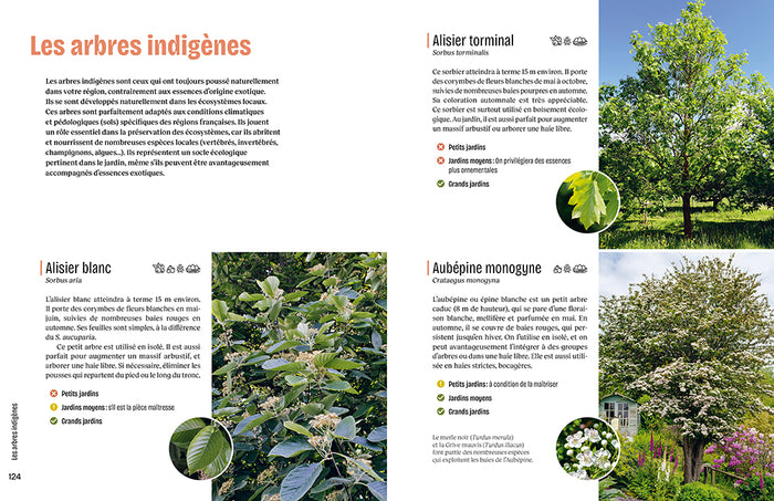 Créer un beau jardin-refuge pour les oiseaux