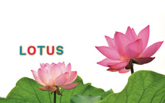 Mon imagier - 75 mots à lire dès 3 ans