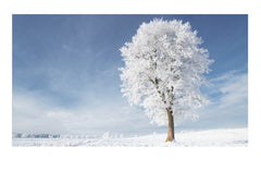 Semainier 2025 - La nature au fil des saisons