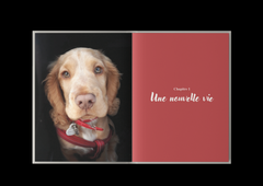 une vie avec toi