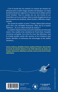 Un Noël aux Mimosas