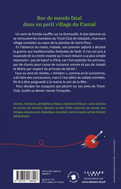 Un Noël semé d'embûches