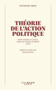 Théorie de l'action politique