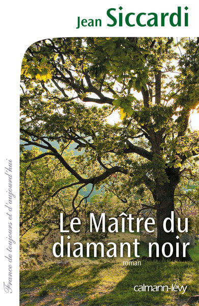 Le maître du diamant noir