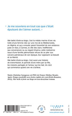 Mer belle à forte au large