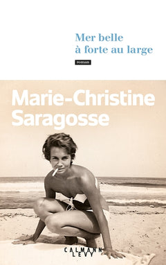 Mer belle à forte au large