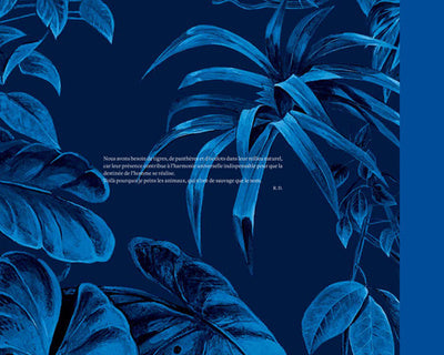 Féroces et fragiles, les félins dans l'oeuvre de Robert Dallet