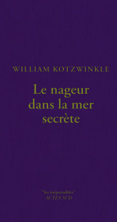 Le nageur dans la mer secrète