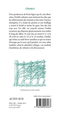 L'érable