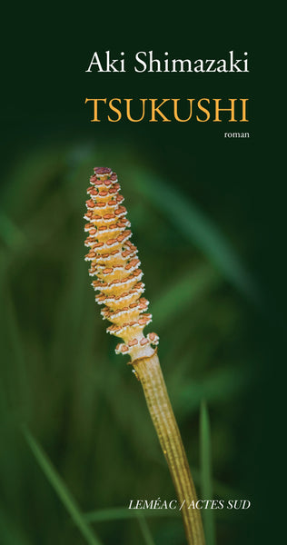 Tsukushi: Au coeur du Yamato