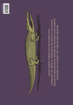 Cabinet de curiosités