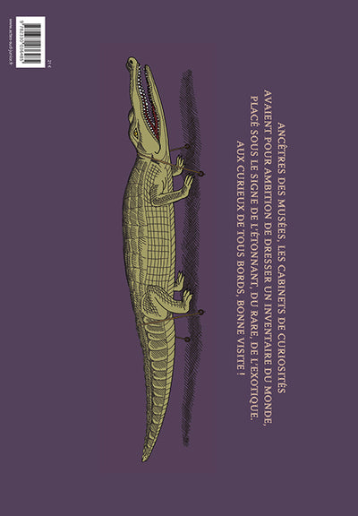 Cabinet de curiosités