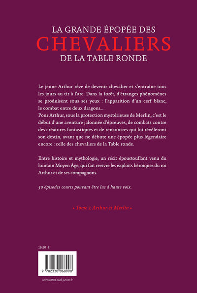 La Grande Epopée des chevaliers de la Table ronde T1