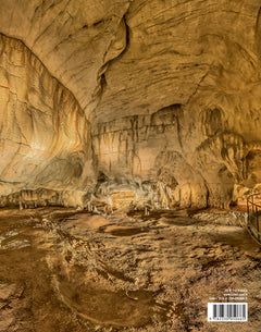 La Caverne du Pont d'Arc