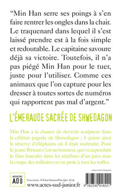 L'émeraude sacrée de Shwedagon