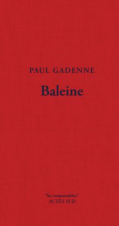Baleine