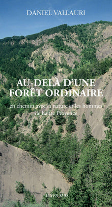Au-delà d'une forêt ordinaire