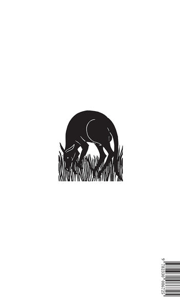 L'histoire de Ned Kelly