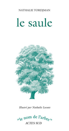 Le saule