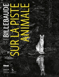 Billebaude - N°10: Sur la piste animale