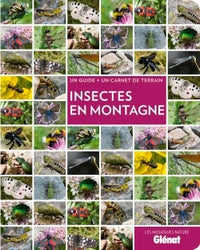 Insectes en montagne