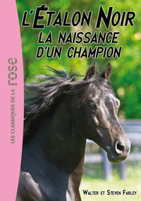 L'Étalon Noir 19 - La naissance d'un champion