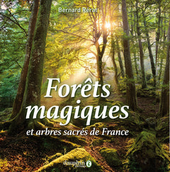 Forêts magiques et arbres sacrés de France