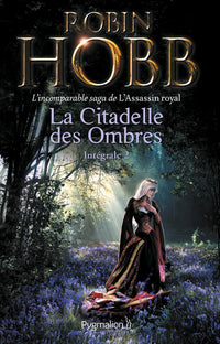 La citadelle des ombres, tome 2