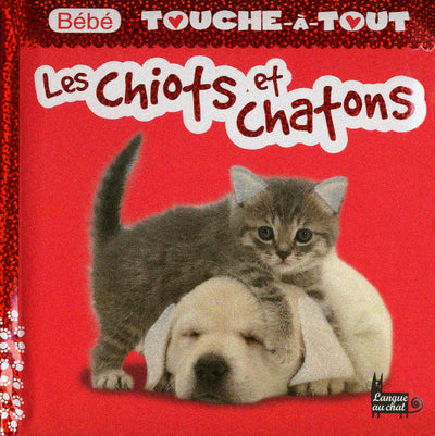 Bébé touche-à-tout - Les chiots et chatons