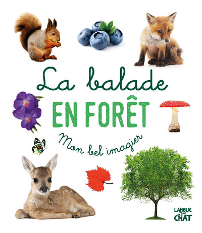 La balade en forêt - Mon bel imagier