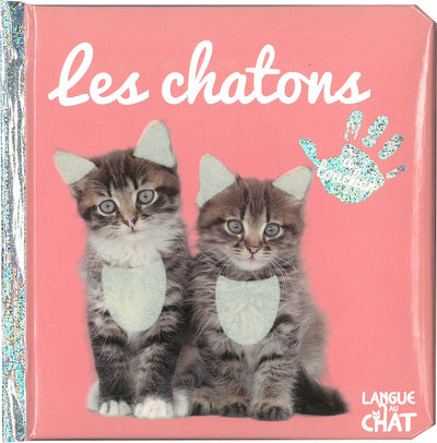 Bébé touche-à-tout - Les chatons