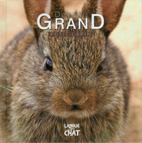 Devenir grand - Petit lapin
