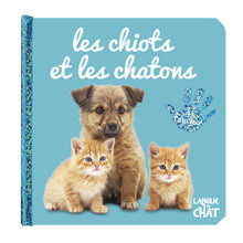Bébé touche-à-tout - Les chiots et chatons