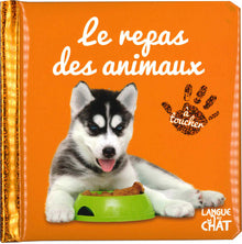 Bébé touche-à-tout - Le repas des animaux