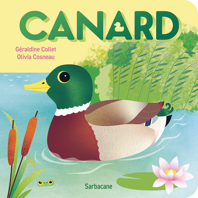 Canard