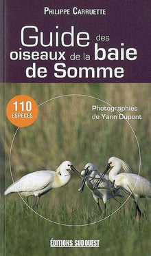 Guide Des Oiseaux De La Baie De Somme