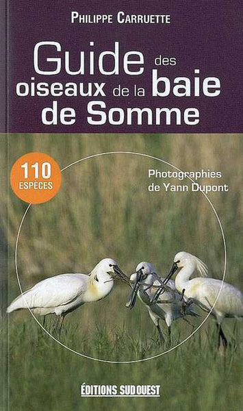 Guide Des Oiseaux De La Baie De Somme