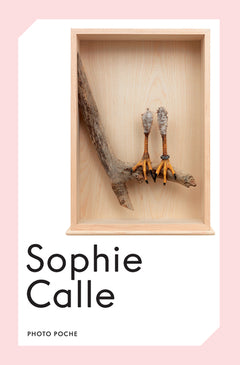 sophie calle
