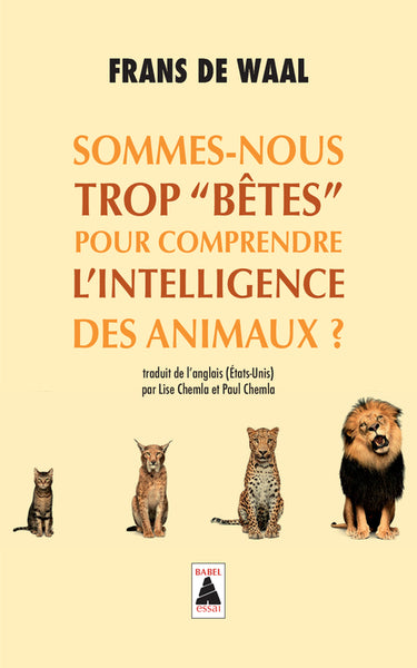 Sommes-nous trop « bêtes » pour comprendre l'intelligence des animaux ?
