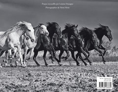 Lorenzo Black & White
