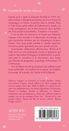 Théorie de la bulle carrée