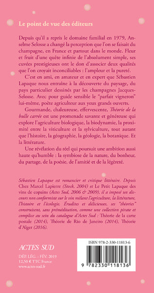 Théorie de la bulle carrée