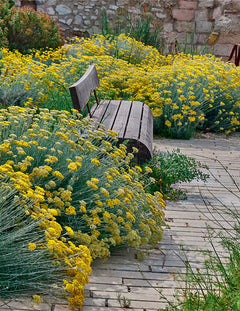 Le jardin des migrations