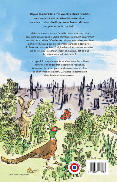 Après la catastrophe