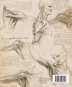 Léonard de Vinci anatomiste